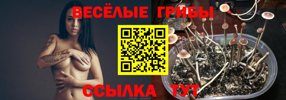 Галлюциногенные грибы Magic Shrooms Полевской